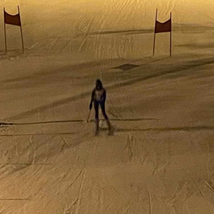 ski